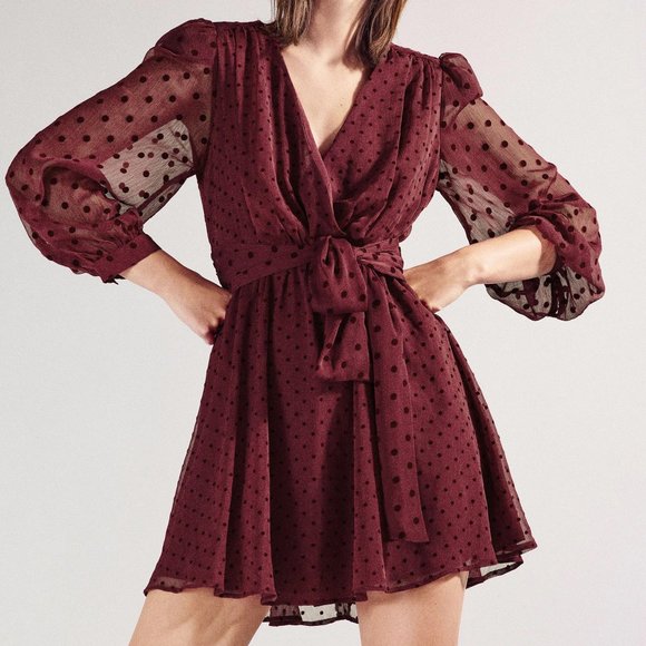 Zara Maroon Polka Dot Dotted Mesh Mini Dress - Picture 1 of 11